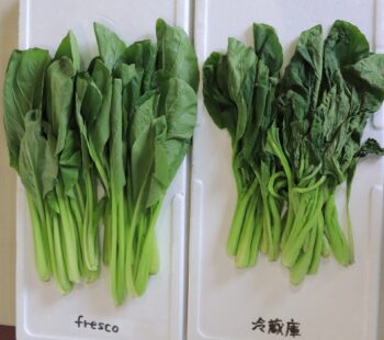 野菜と湿度について